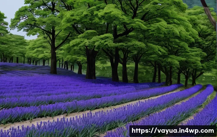 가치 중심의 재정 코칭 프로그램 관련 이미지 1